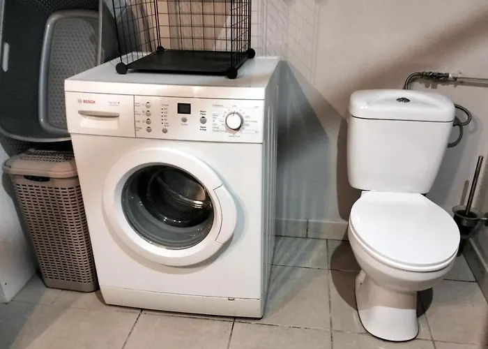 Manou Ols-et-Rignodes